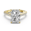 The Radiant Pave